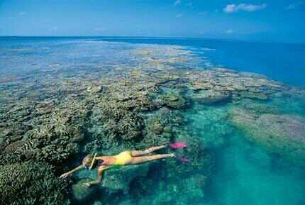 snorkelling